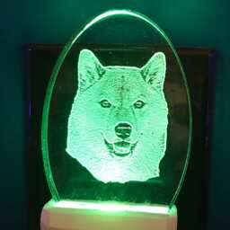 Shibu Inu Nightlight Etched in Detail Clear Acrylic Designed By Deborah Houser Personalized Light Has 3 Color Options Dog Pet Lover Gift - thumbnail 3