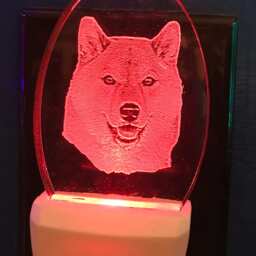 Shibu Inu Nightlight Etched in Detail Clear Acrylic Designed By Deborah Houser Personalized Light Has 3 Color Options Dog Pet Lover Gift - thumbnail 2