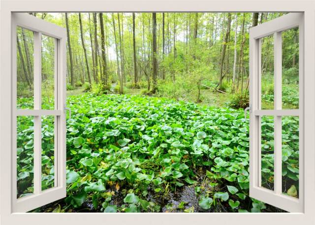 Jungle Wall Decal, Forest Sticker, Leaves 3D Window Nature Frame, View Mural Home Decor Sticker