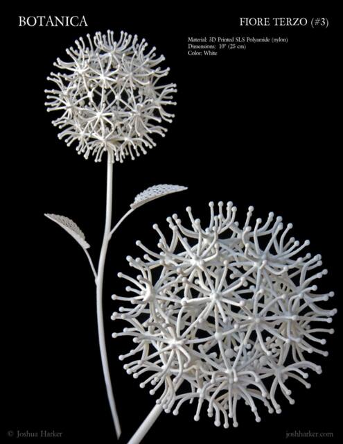 Fiore Terzo - 3D Printed Filigree Flower By Joshua Harker