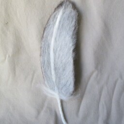 Needle Felted Feather, Turkey Vulture Feather, Custom - thumbnail 4