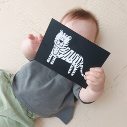 High Contrast Newborn Cards - Black & White Flashcards Stimulation Animal Art For Babies Nursery Wall Decor - thumbnail 2