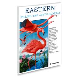 Reprint Of A Vintage Airline Travel Poster - Eastern Airlines To Florida - thumbnail 2