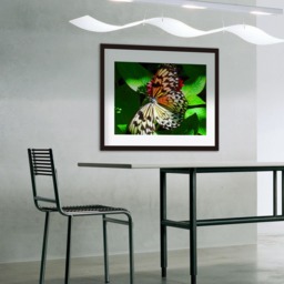 Printable Wall Art Butterfly Print #b01, Decor, Photo Closeup, Art - thumbnail 3