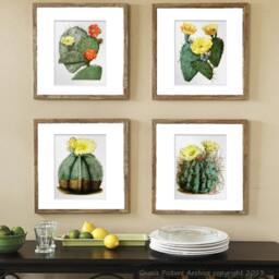 Antique Botanical Art Print Yellow Flowering Cactus No.7 Southwestern Summer Desert Wedding Gift Wall Decor Hanging 8x10 - thumbnail 2
