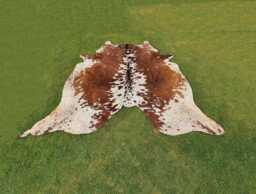 Brown & White Cowhide For Rustic Home Decor-Genuine Brazillian Rug-Cow Skin Living Room-Western Decor-Floor Area Rug - thumbnail 1