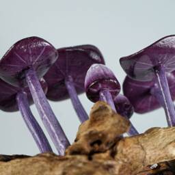 Purple Hanging Mushroom Art, Wall Statue, Fairy Mushroom, Miniature, Handmade, Forest, Aesthetic Room Decor, Personalized, Teacher Gift - thumbnail 4
