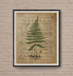 Music Sheets, Fern Art, Print, Vintage Sheet, Flower, Musical Notes, Old Art Print - thumbnail 1