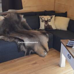 Giant Reindeer Rug Decorative Hide Of Scandinavian Reindeer, Caribou Hide, Size Xxl, Schaffell, Hygge - thumbnail 2