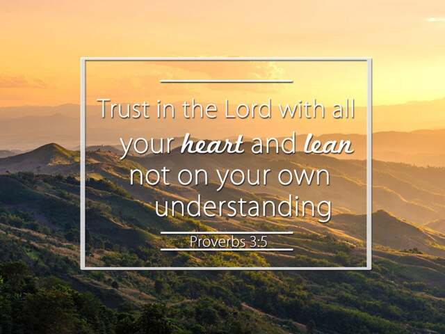 Proverbs 35 #7 Niv Trust in The Lord With All Your Heart Scripture Art, Framed Bible Verses, Religious Framed Art, Wall Hangings, Christian - image 1