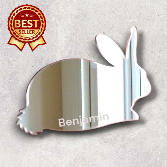 Rabbit Acrylic Mirror Wall Art Personalized Engraving - image 1