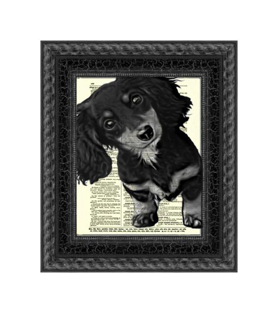 Long Haired Dachshund Puppy Art Printed On An 1897 Dictionary Page, Dachsund Gift As Upcycled Art, Doggie Decor, Dog Print, Wall Decor - image 1