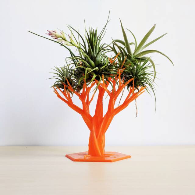 Air Plant Tree - Sculptural Holder, Galentine's Day Gift, Indoor Garden, Stand, Miniature Tree, Tillandsia - image 1
