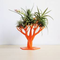 Air Plant Tree - Sculptural Holder, Galentine's Day Gift, Indoor Garden, Stand, Miniature Tree, Tillandsia - thumbnail 1