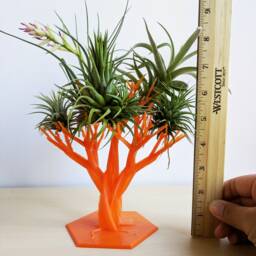 Air Plant Tree - Sculptural Holder, Galentine's Day Gift, Indoor Garden, Stand, Miniature Tree, Tillandsia - thumbnail 2