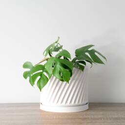 "Penelope Planter With Drainage & Saucer in White, Unique 3D-Printed Plant Pot, Small To Large Sizes 4"" 5"" 6"" 7"" 8" - thumbnail 4