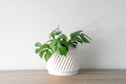 "Penelope Planter With Drainage & Saucer in White, Unique 3D-Printed Plant Pot, Small To Large Sizes 4"" 5"" 6"" 7"" 8" - thumbnail 1