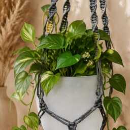 Macrame Plant Hanger With Pot - Hangers Plants Holder Gardening Gifts Indoor - thumbnail 4