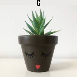 Hand Painted Eyelash Terracotta Plant Pots, 9cm Pot, Indoor Planter, Blm Face Dalmatian Print, Boho Decor - thumbnail 4