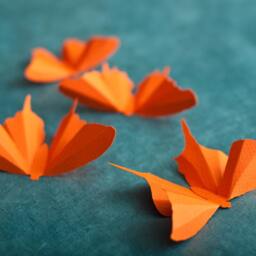 3D Wall Butterflies Carrot Orange Butterfly Silhouettes For Girls Room, Nursery, & Home Art Decor - thumbnail 3