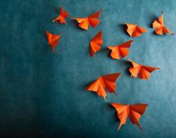 3D Wall Butterflies Carrot Orange Butterfly Silhouettes For Girls Room, Nursery, & Home Art Decor - thumbnail 1