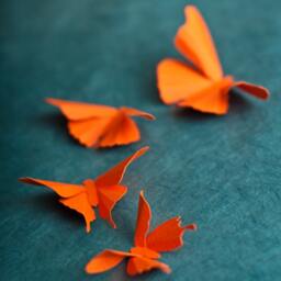 3D Wall Butterflies Carrot Orange Butterfly Silhouettes For Girls Room, Nursery, & Home Art Decor - thumbnail 2