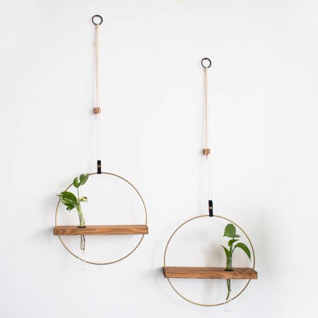 Set Of 2 Propagation Hanging Test Tubes For Growing Indoor Plants - image 1
