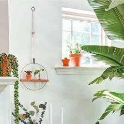 Set Of 2 Propagation Hanging Test Tubes For Growing Indoor Plants - thumbnail 4