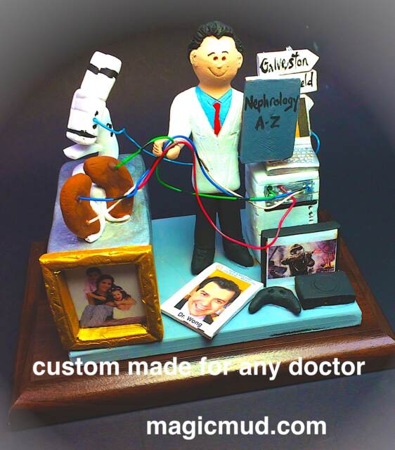 Nephrologist's Grad Gift, Kidney Doctor's Dialysis Doctor Urologist's Stone Surgeons Gift - image 1