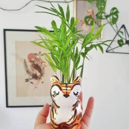 Tiger Planter, Animal Ceramic Tiger, Lover Gift, Birthday Housewarming Gift For Friend - thumbnail 2