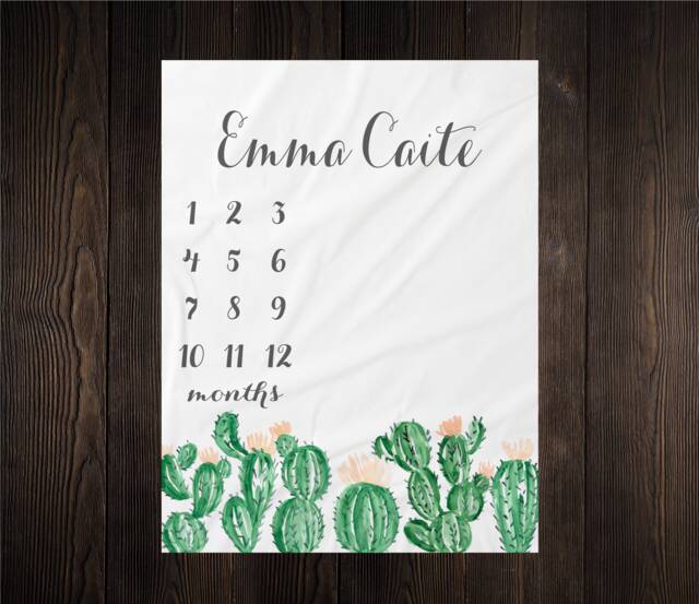 Girl Milestone Blanket Month Growth Tracker Minky Fleece Custom Personalized Baby Shower Gift Watercolor Floral Newborn Succulents - image 1