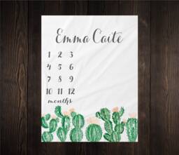 Girl Milestone Blanket Month Growth Tracker Minky Fleece Custom Personalized Baby Shower Gift Watercolor Floral Newborn Succulents - thumbnail 1