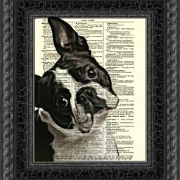 125+ Year Old Antique Dictionary Page Upcycled With A Boston Terrier Portrait, Dog Lover Artwork, Pet Loss Gift, Wall Decor, Rescue Art - thumbnail 3