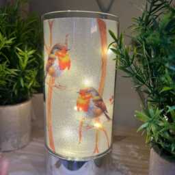 Robinlight - Robin Home Decor Light Light Led - thumbnail 3