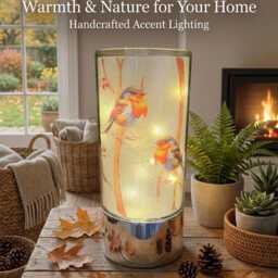 Robinlight - Robin Home Decor Light Light Led - thumbnail 4