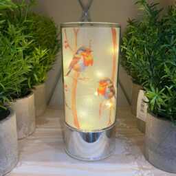 Robinlight - Robin Home Decor Light Light Led - thumbnail 2
