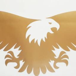 Large 36 X 11 Golden Hawk Eagle Vinyl Car Bonnet Side Sticker Decal Wall Art Animal Safari Graphic Silhouette Van Lorry Motorhome Campervan - thumbnail 2