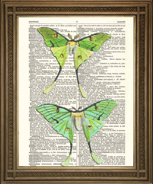 Luna Moths Print Green Butterfly Art, Printed On Vintage Dictionary Page - image 1