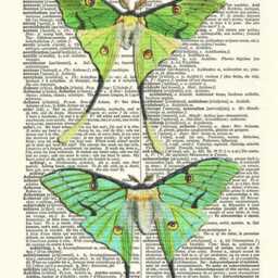 Luna Moths Print Green Butterfly Art, Printed On Vintage Dictionary Page - thumbnail 2