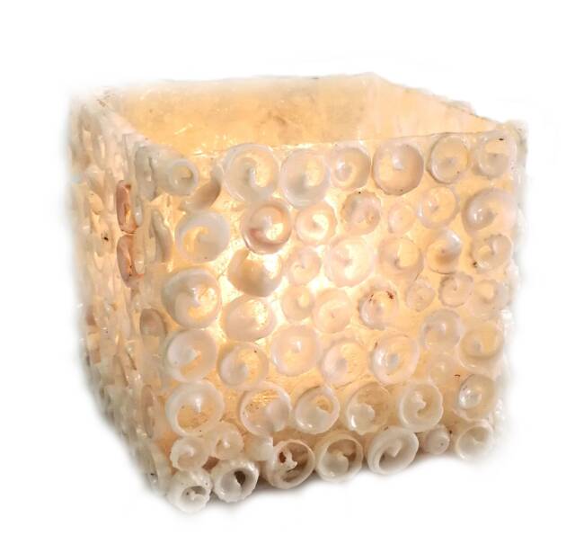 Hand-Made Light in Spain-Break-Resistant Fiberglascubus With Shells Snail Form - Colour-Cream - image 1