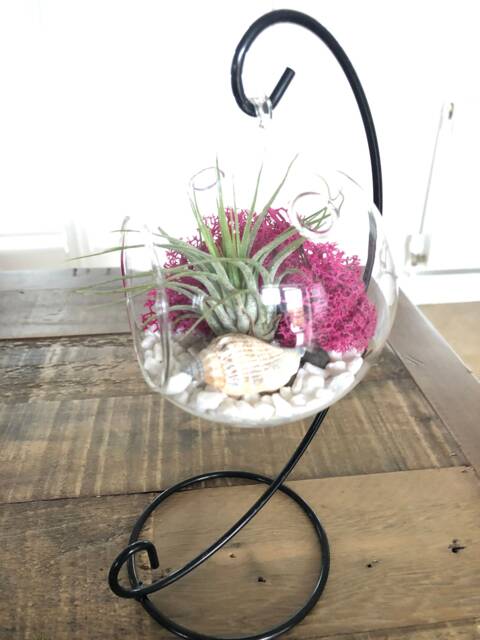 Diy Terrarium Air Plant Kit, Terrarium Stand. Glass Terrarium, Hanging Pot. Plant Stand, Miniature Garden - image 1