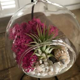 Diy Terrarium Air Plant Kit, Terrarium Stand. Glass Terrarium, Hanging Pot. Plant Stand, Miniature Garden - thumbnail 2