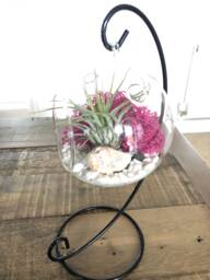 Diy Terrarium Air Plant Kit, Terrarium Stand. Glass Terrarium, Hanging Pot. Plant Stand, Miniature Garden - thumbnail 1