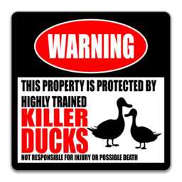 Killer Ducks Warning Sign, Funny Farm Metal Decor, Farmhouse Wall Art - thumbnail 3