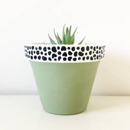 Hand Painted Sage Green Dalmatian Print Terracotta Plant Pot, Home Decor, Accessories, 11cm Nursery Decor