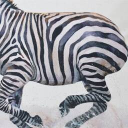 Zebra Art Print Cushion African Animals Organic Cotton, Wendy Darker, Choice Of Cover Only Or With Pad - thumbnail 3