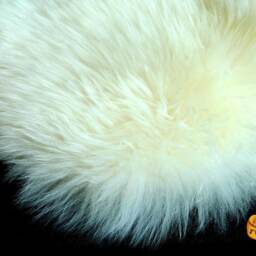 Faux Fur Bear Skin Rug - Plush Animal Pelt Shape Throw - thumbnail 4