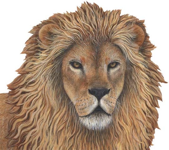 Lion Wall Decal - image 1