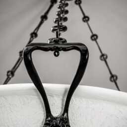 The Lions Mane Chandelier in Bronze Neo Classical Design - thumbnail 4