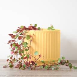 Jetsetter Planter With Drainage & Saucer in Yellow, Unique 3D Printed Plant Pot Small & Large Sizes, 4 5 6 7 8 Inch - thumbnail 3